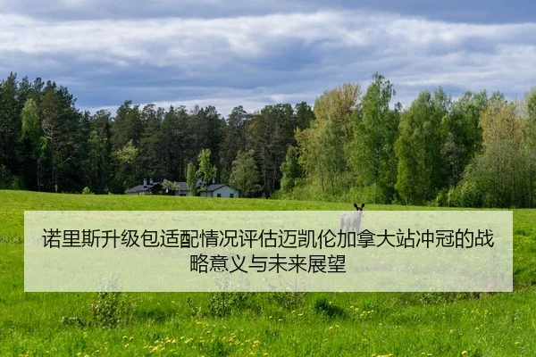 诺里斯升级包适配情况评估迈凯伦加拿大站冲冠的战略意义与未来展望
